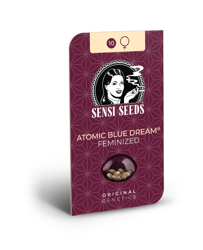 Semilla de atomic blue dream feminizada