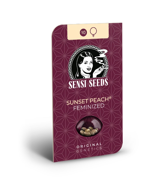 Sunset peach (3) sensi seeds