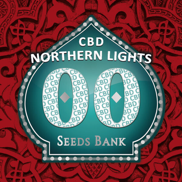 Northern lights (5)