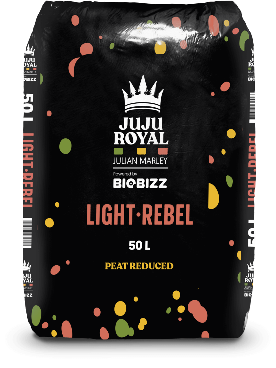 Light rebel 50l juju royal by biobizz