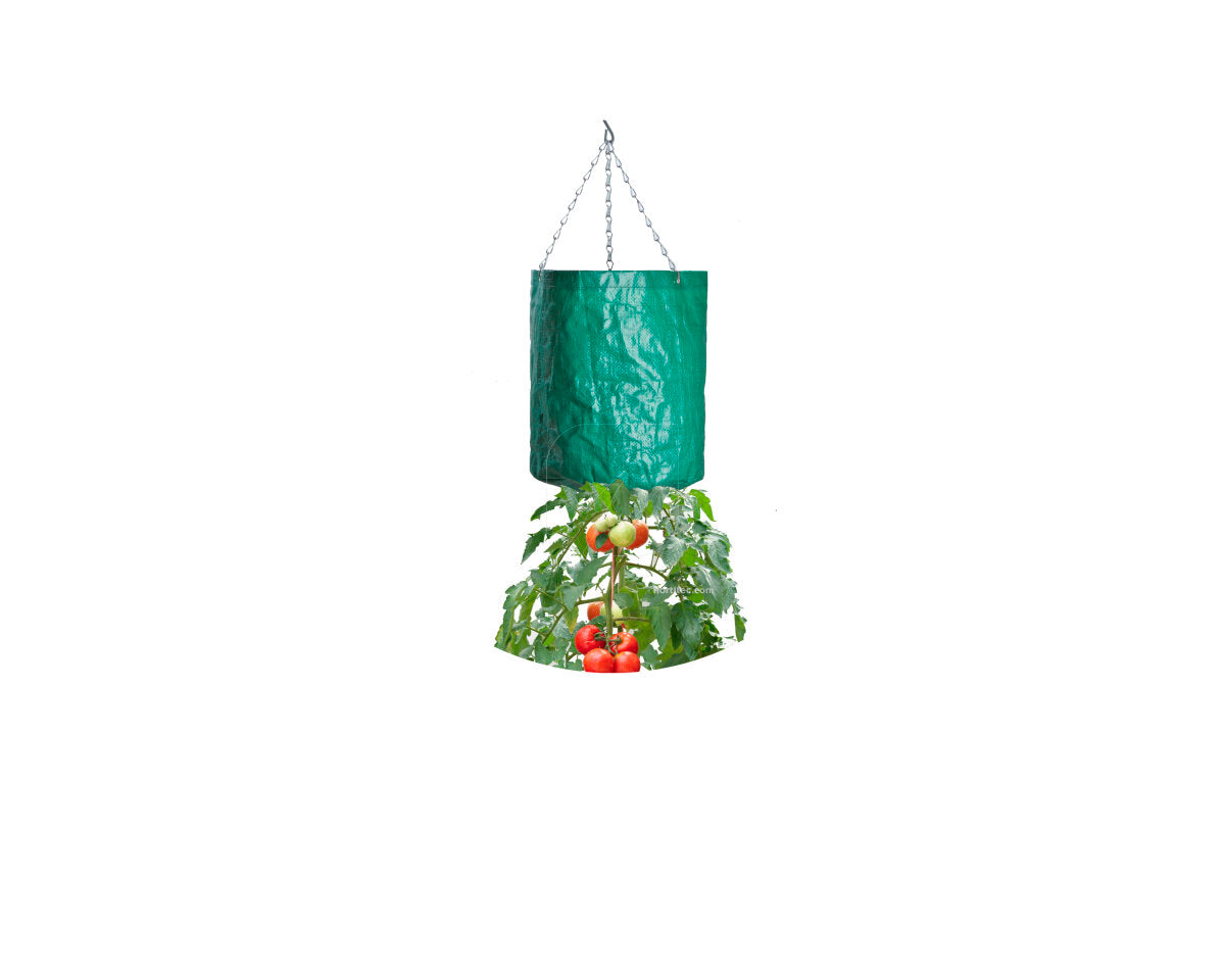 Bolsa cultivo tomate colgante