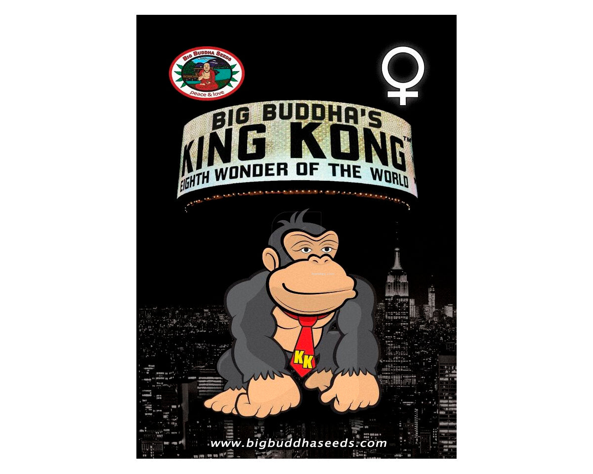 King kong (5)