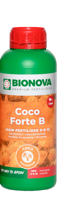 Coco forte b