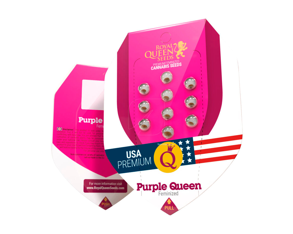 Purple queen