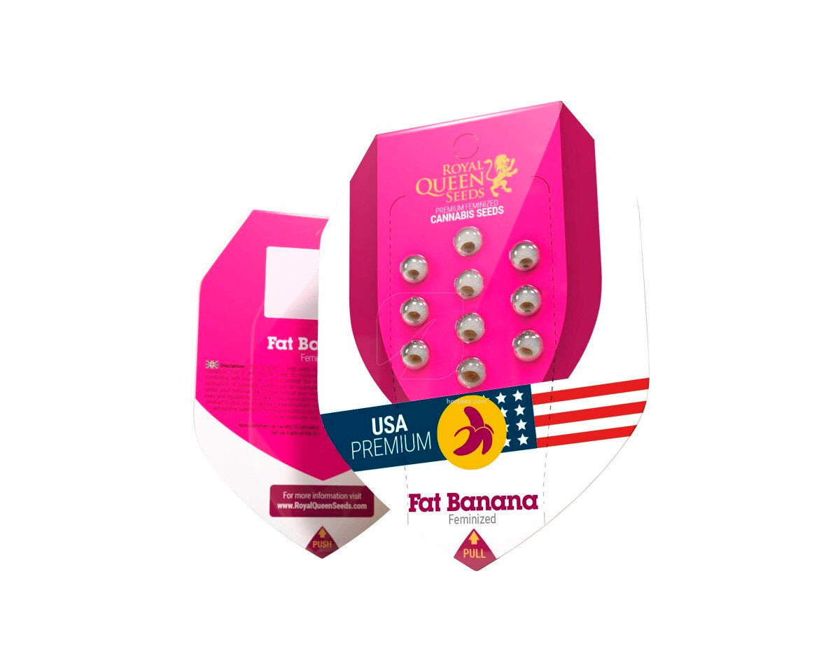 Fat banana