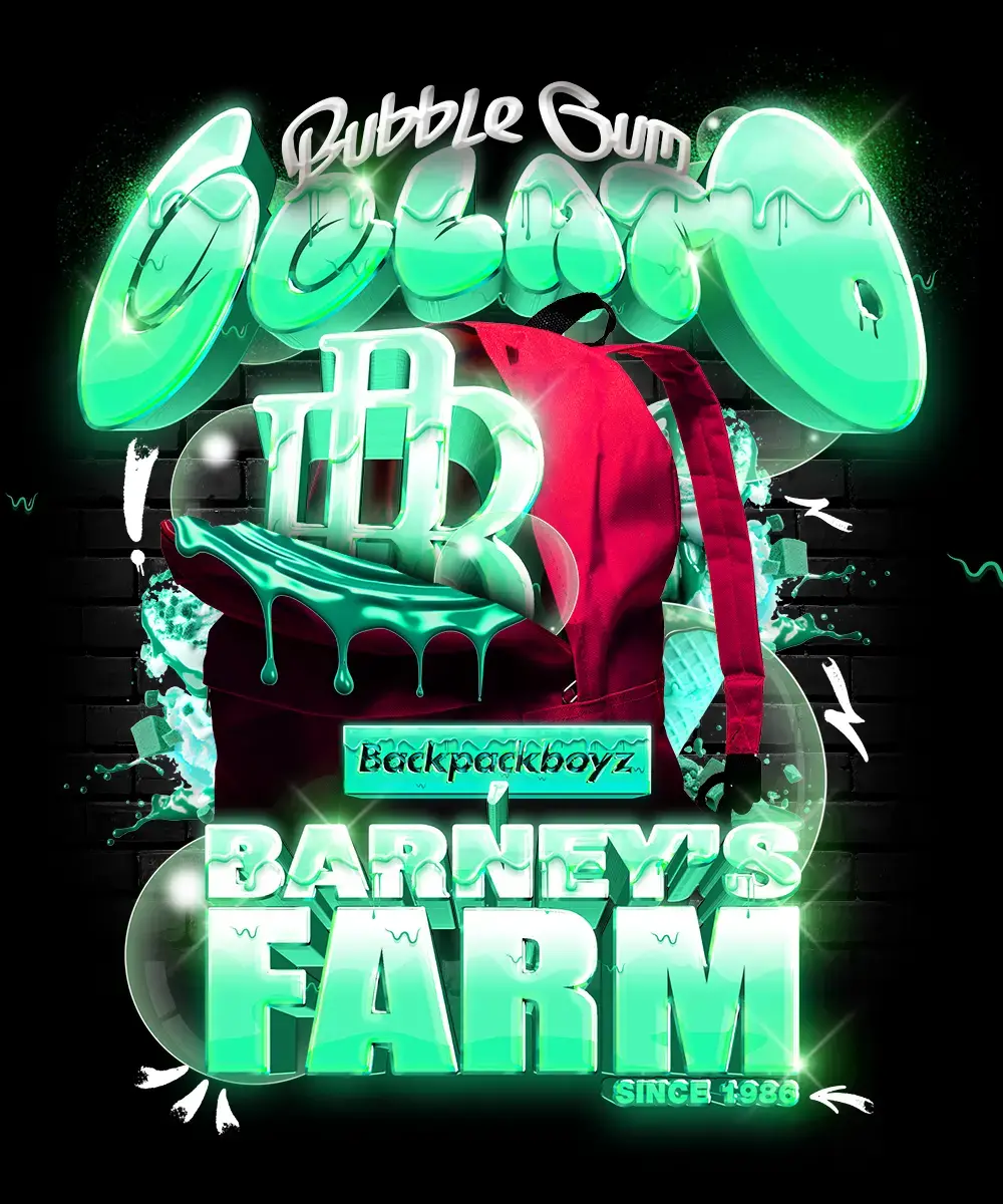 Bubblegum gelato (5) barney's farm