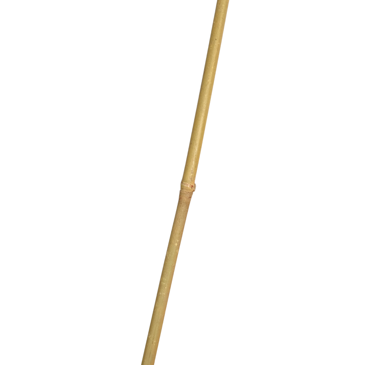 Tutor bambu 1,50 m (500 u) 8/10