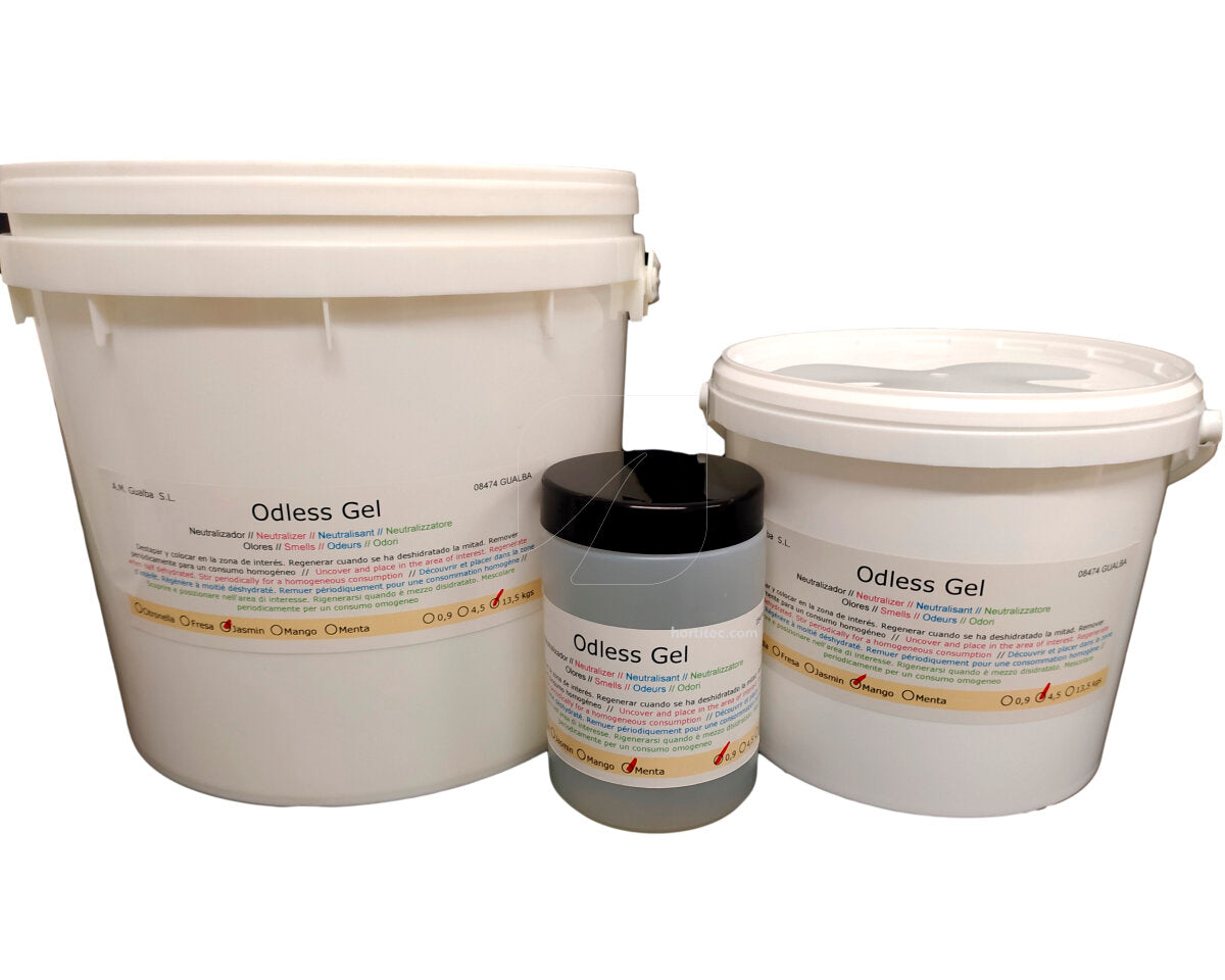 Odless gel menta