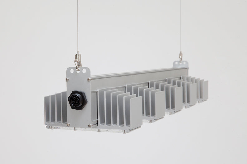 Led q5w sanlight