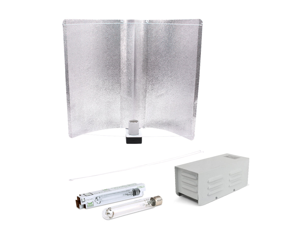 Kit clase ii micropunto xl 600w vanguard