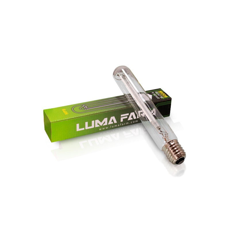 Bombilla 600 w