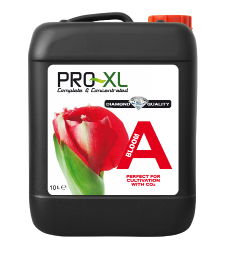 Bloom a 10 l