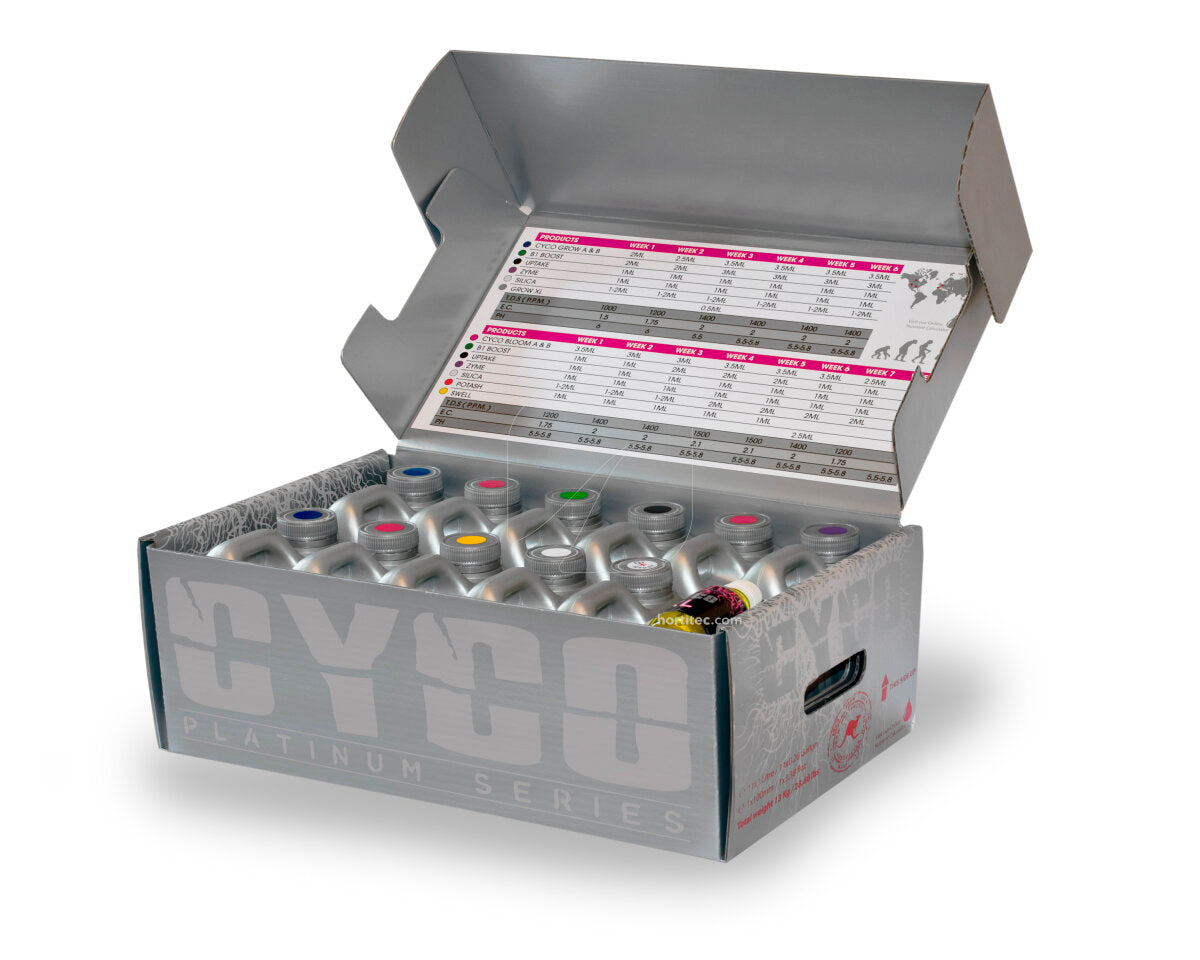 Prokit xl 11 x 1 l + 1 xl 100 ml