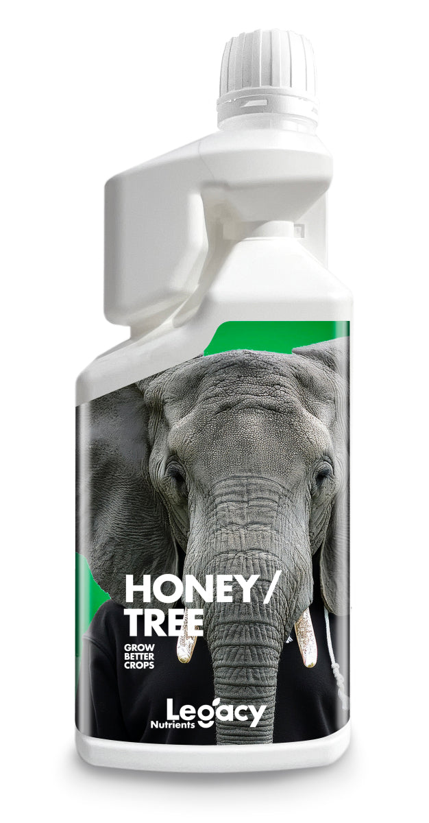 Honey tree legacy