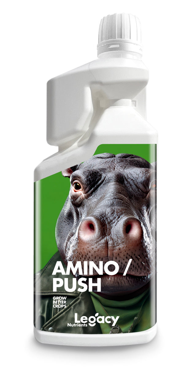 Aminopush legacy