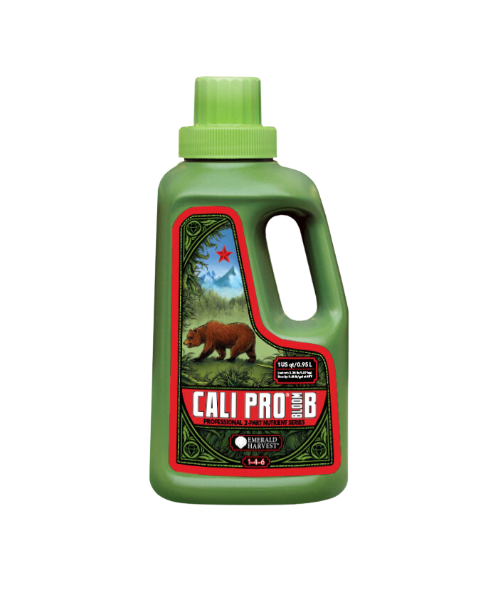 Cali pro bloom b