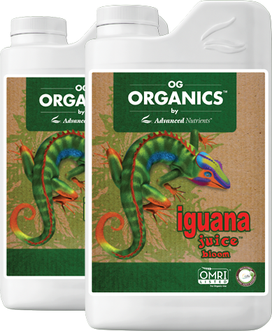 Organic iguana juice bloom advanced nutrients