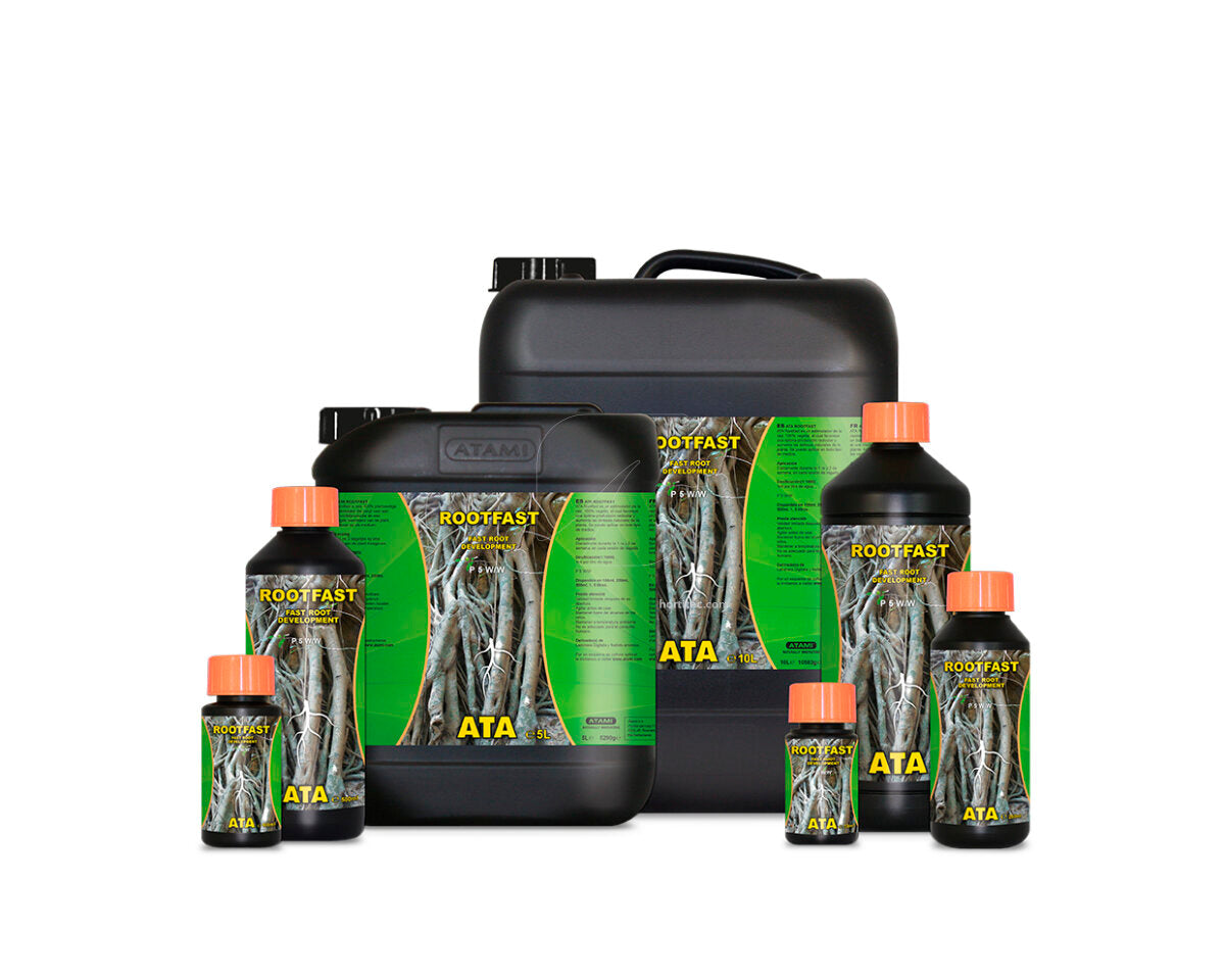 Ata rootfast