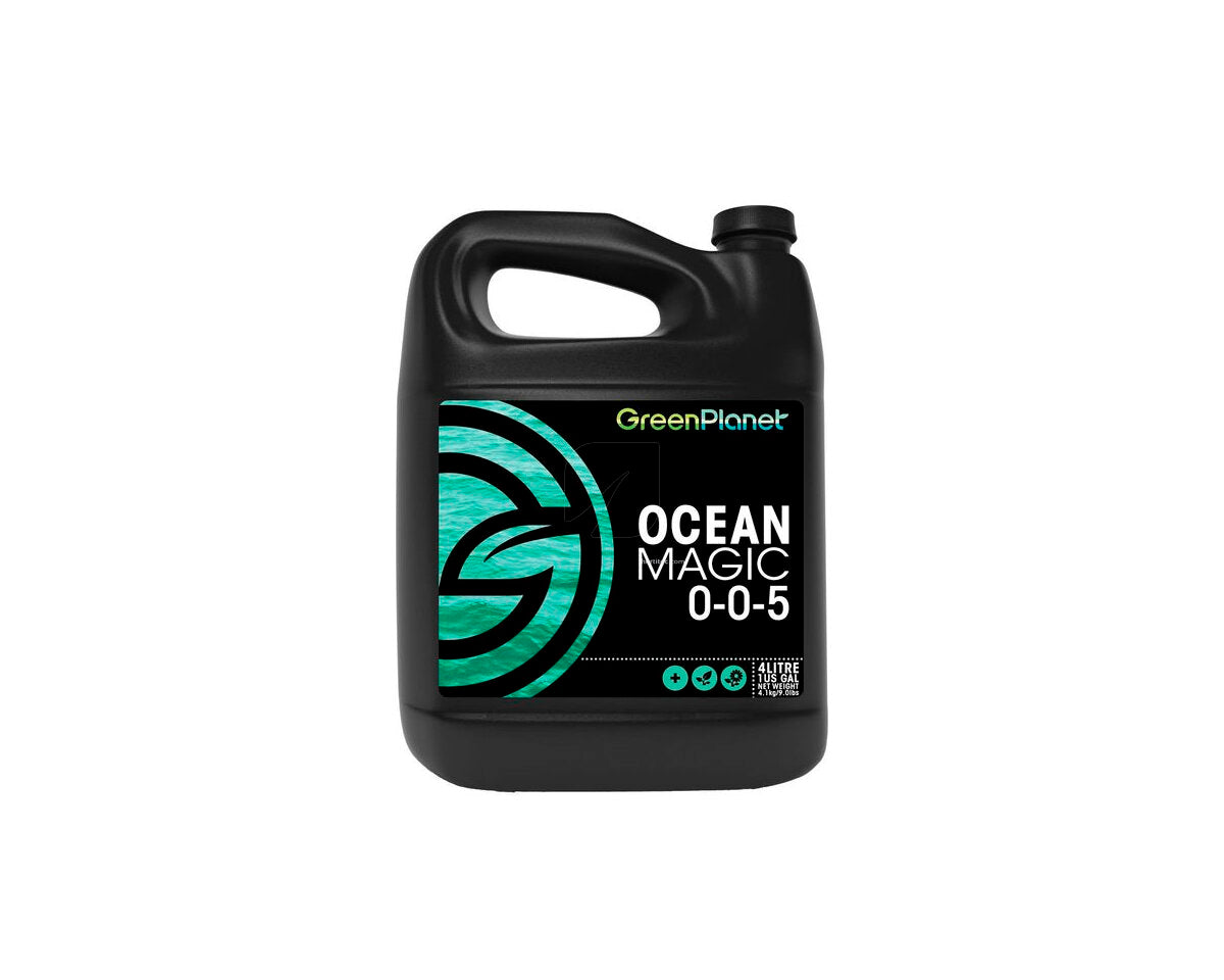 Ocean magic