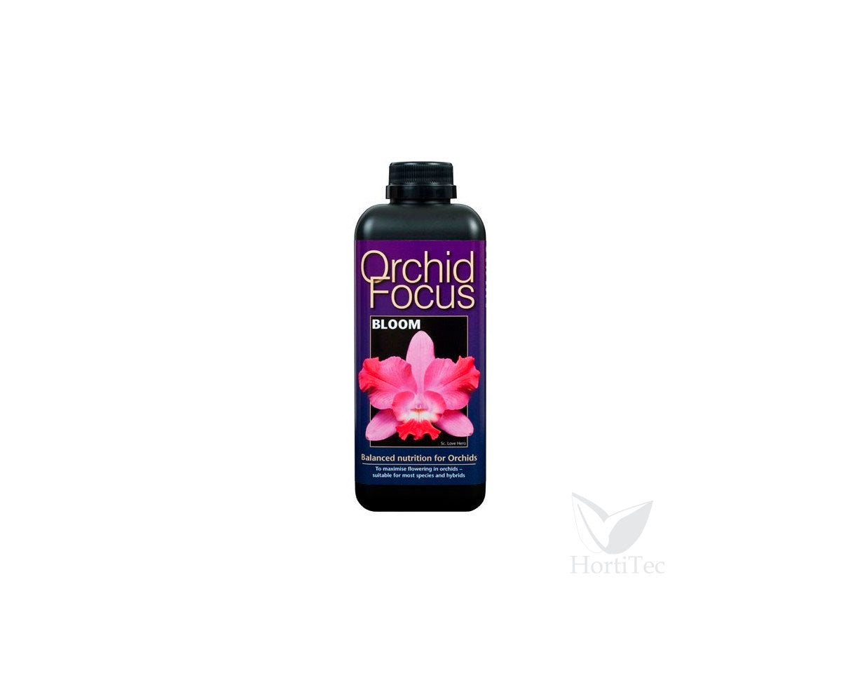 Orchid focus bloom 300 ml (12u)