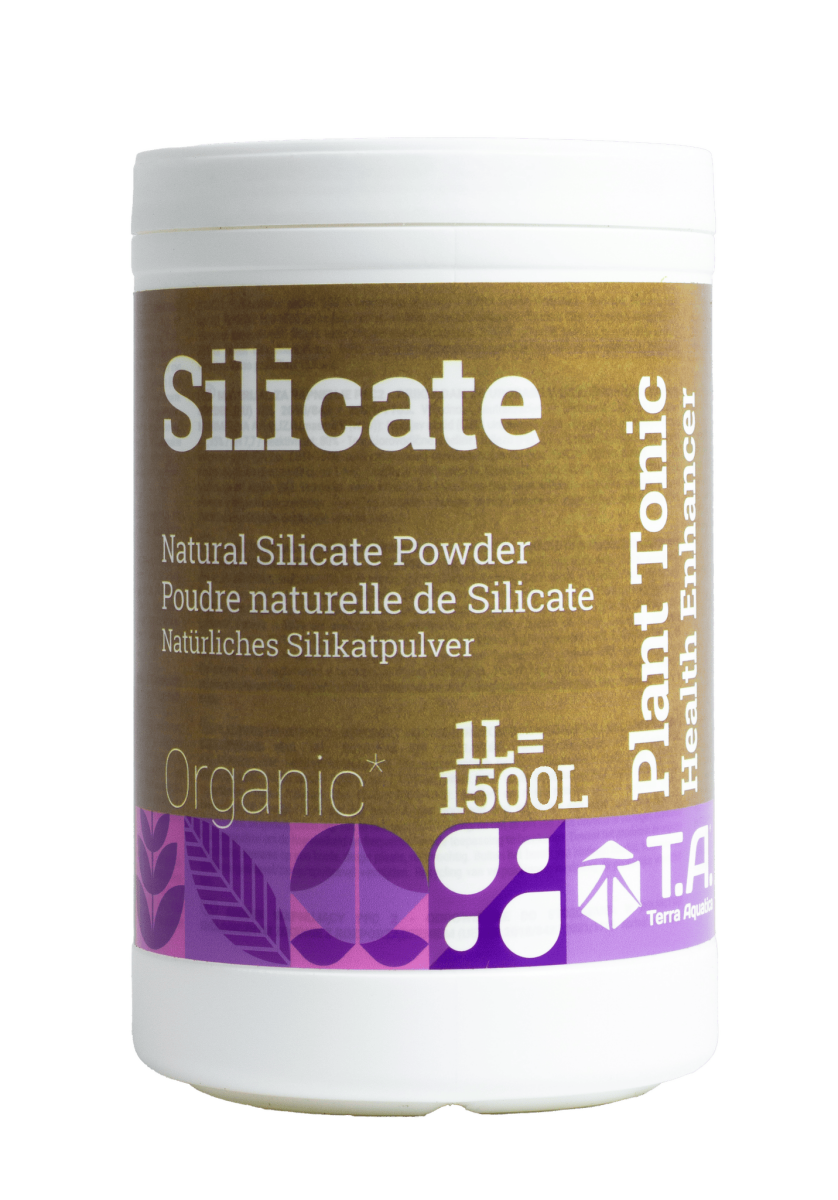 Silicate (mineral magic)
