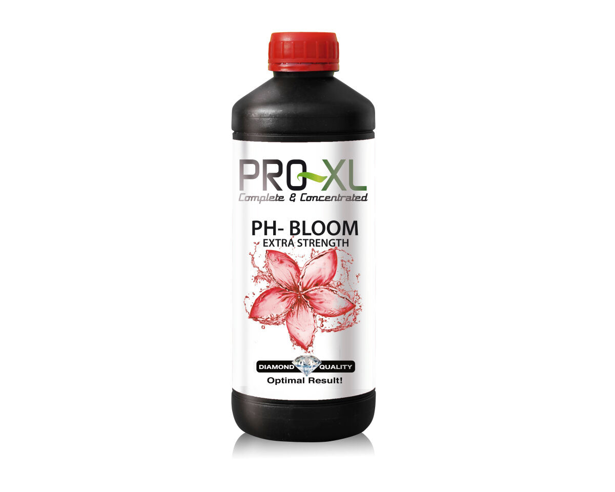 Ph - bloom