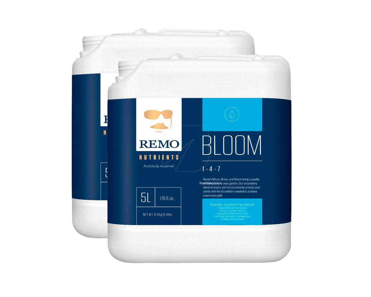 Bloom