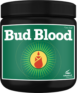 Bud blood powder