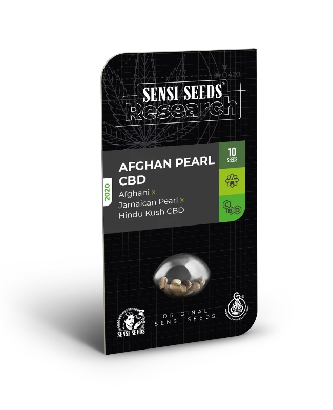 Semillas de afghan pearl cbd autoflorecientes