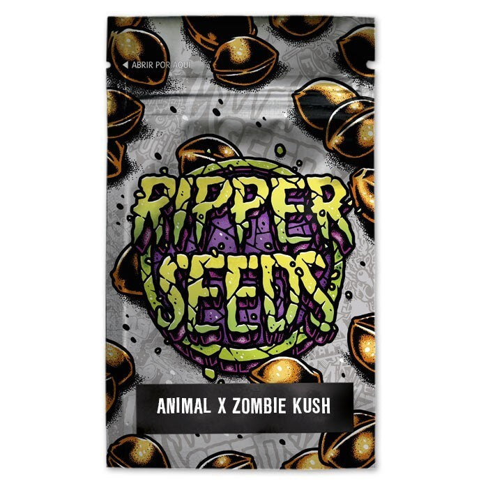 Animal cookies x zombie kush (3) ripper seeds