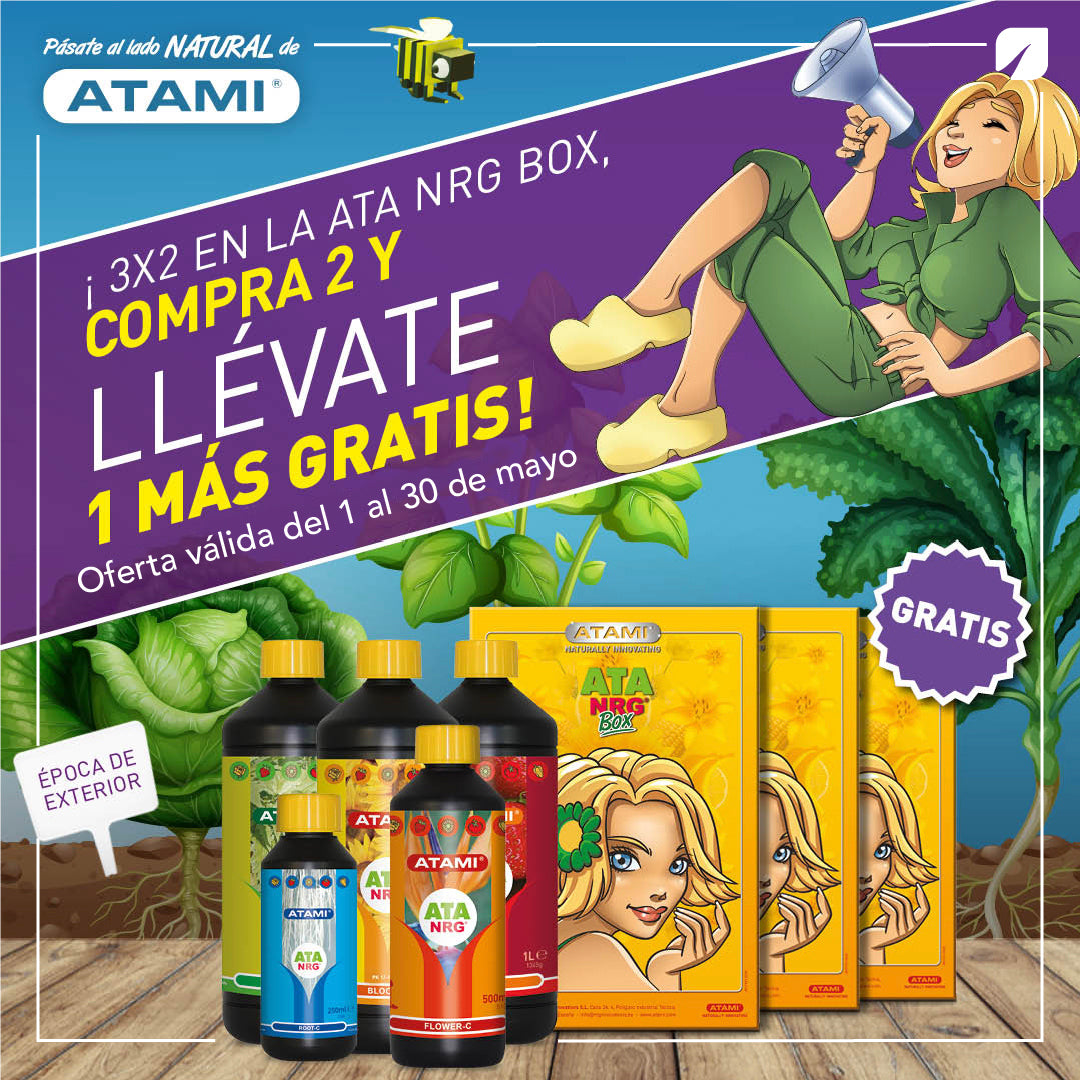 Promo 3x2 ata nrg box