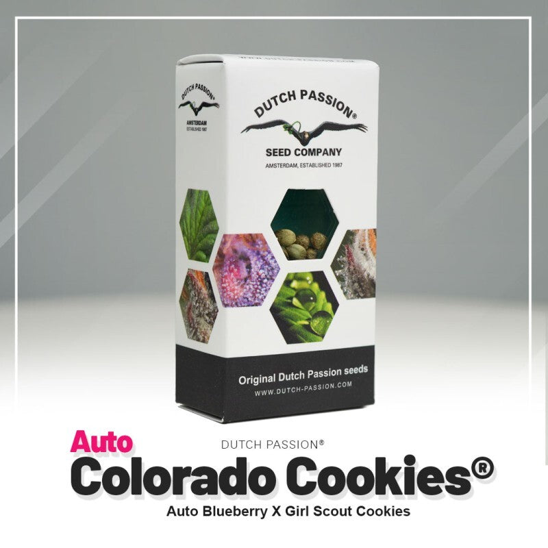 Auto colorado cookies 100%