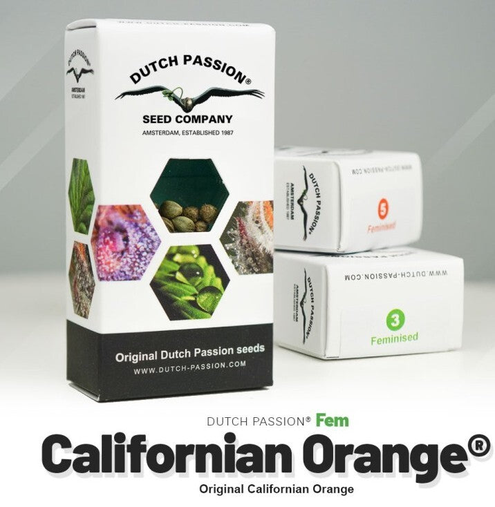 California orange