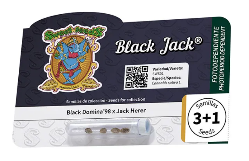Black jack 100%