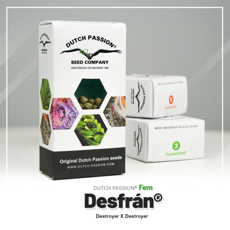 Desfran