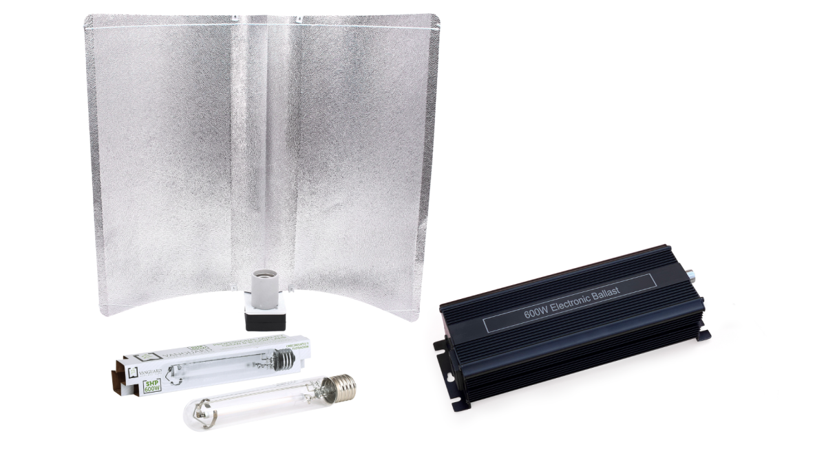 Kit electrónico 600w horti-max micropunto xl