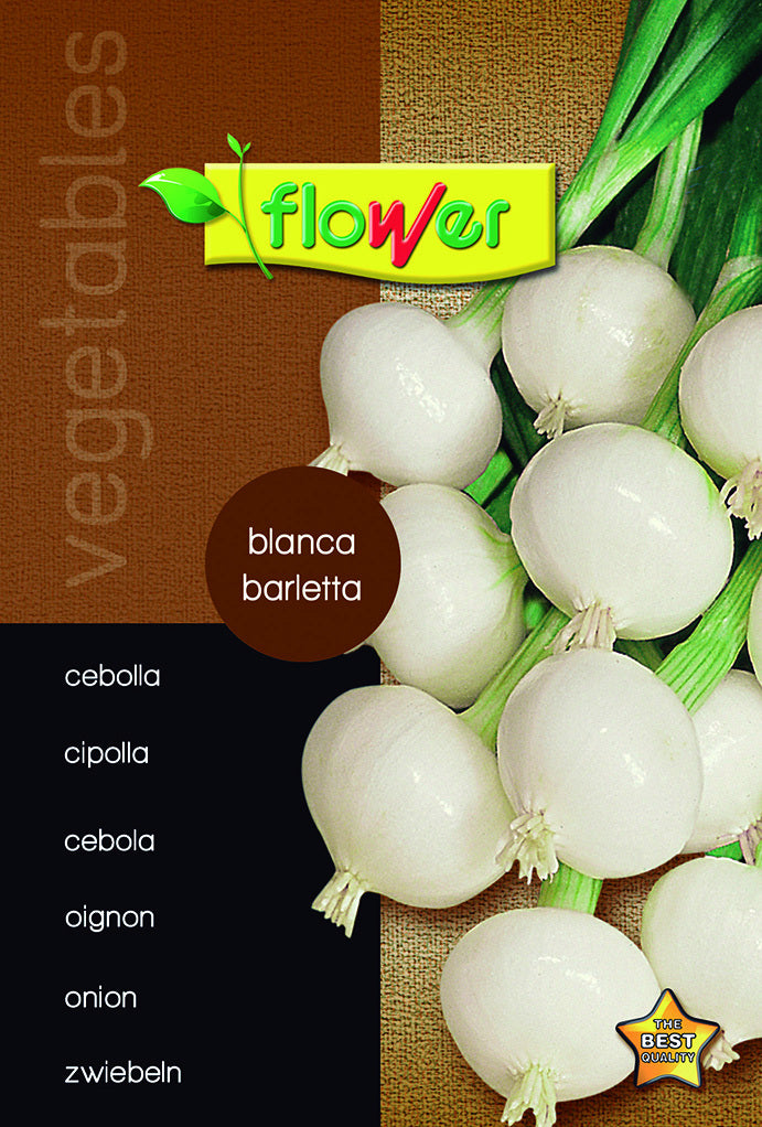 Cebolla blanca barletta