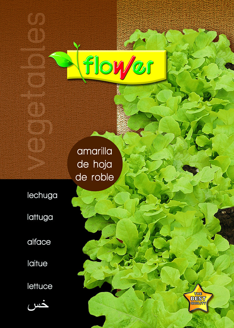 Lechuga hoja de roble