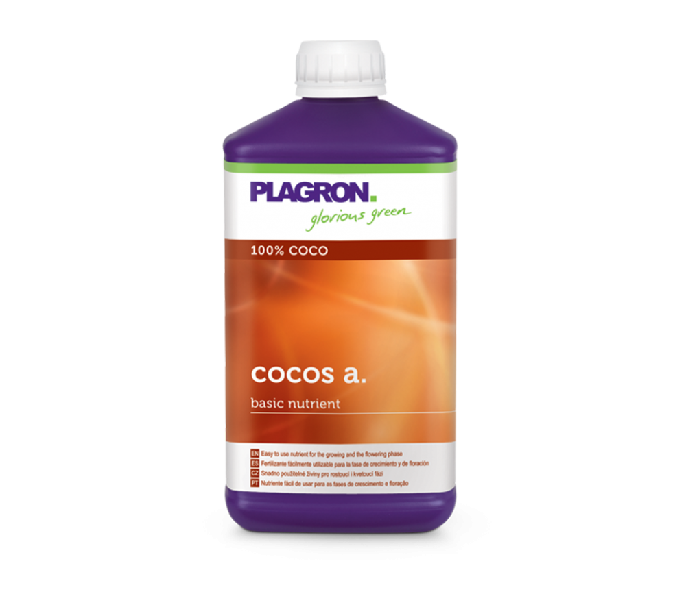 Coco a