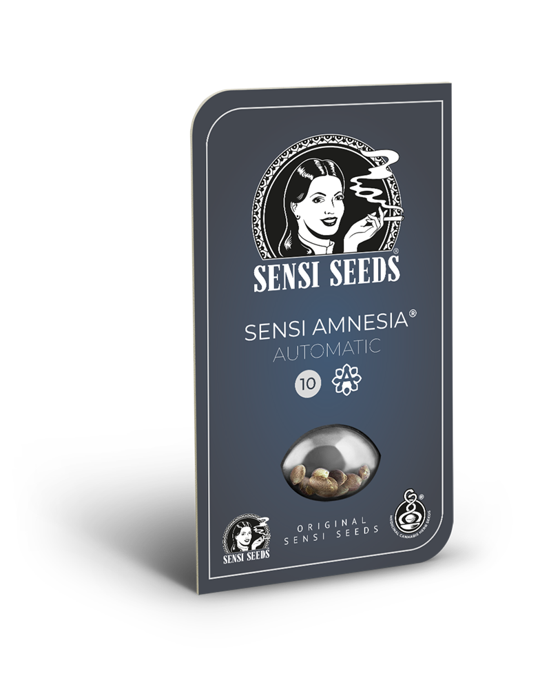 Sensi amnesia auto sensi seeds