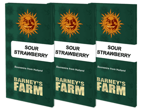 Sour strawberry barney's farm