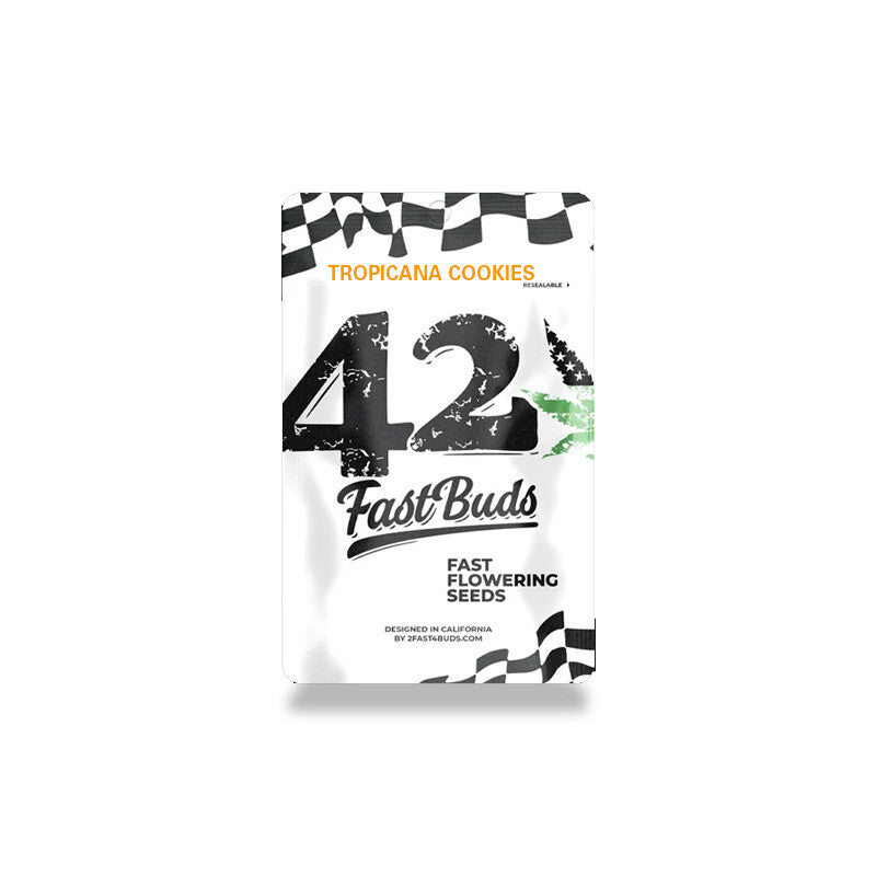 Ztrawberriez auto fastbuds