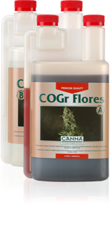 Cogr flores a