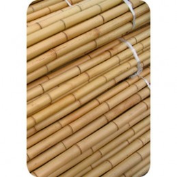 Tutor bambú 105CM