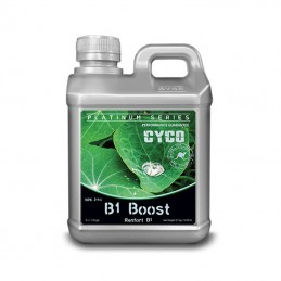 B1 Boost Cyco