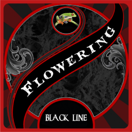 Flowering Black Line Agrobeta