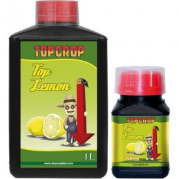 Top Crop Top Lemon