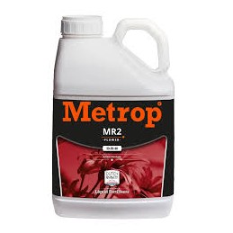 Metrop MR-2 Floración