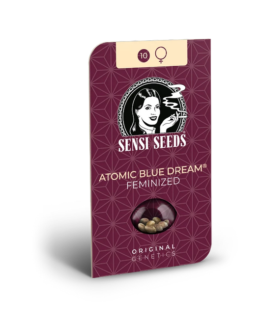 Semilla de atomic blue dream feminizada
