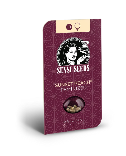 Sunset peach (3) sensi seeds